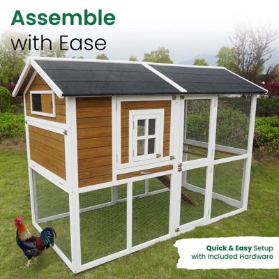 Image showing 6 th Zoovilla Farmstead Chicken Coop, 8 Chicken Capacity