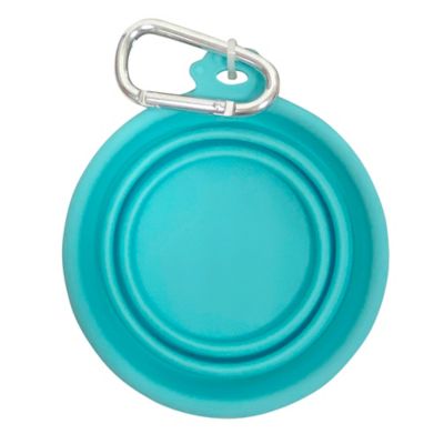 Image showing  Collapsible Dishwasher Safe Silicone Travel Pet Bowl, 0.88 Cup, Teal, 1-Pack
