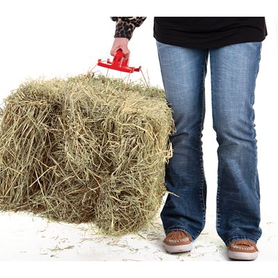 Image showing  Bale Handle