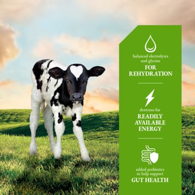 Image showing  Calf Electrolyte Supplement, 4 oz.