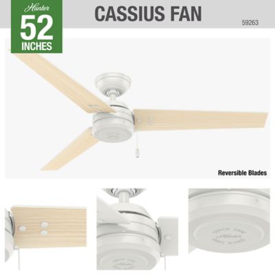 Image showing 6 th Hunter 52 in. 3-Speed Indoor/Outdoor Cassius Damp-Rated Ceiling Fan with Pull Chain, Matte Black