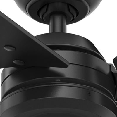 Image showing  52 in. 3-Speed Indoor/Outdoor Cassius Damp-Rated Ceiling Fan with Pull Chain, Matte Black