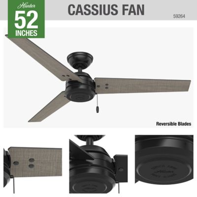 Image showing 6 th Hunter 52 in. 3-Speed Indoor/Outdoor Cassius Damp-Rated Ceiling Fan with Pull Chain, Matte Black