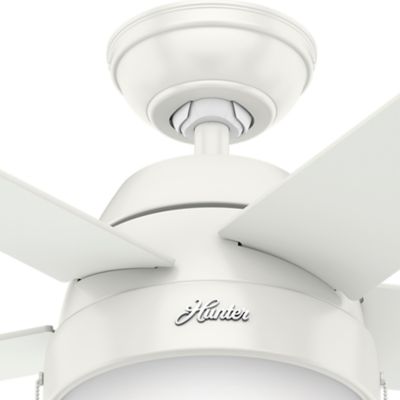 Image showing  46 in. 3-Speed Indoor Anslee Ceiling Fan with LED Light Kit and Pull Chain, Fresh White