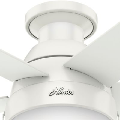 Image showing  46 in. 3-Speed Indoor Anslee Low-Profile Ceiling Fan with LED Light Kit with Pull Chain, Fresh White