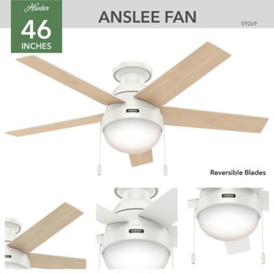 Image showing 6 th Hunter 46 in. 3-Speed Indoor Anslee Low-Profile Ceiling Fan with LED Light Kit with Pull Chain, Fresh White