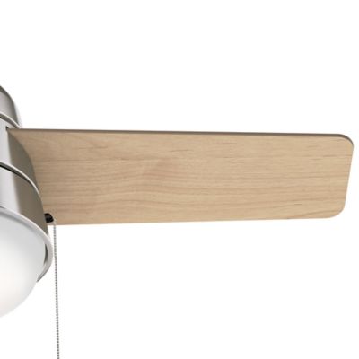 Image showing  36 in. 3-Speed Indoor Aker Ceiling Fan with LED Light Kit and Pull Chain, Fresh White