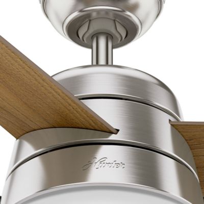 Image showing  36 in. 3-Speed Indoor Aker Ceiling Fan with LED Light Kit and Pull Chain, Fresh White