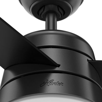 Image showing  36 in. 3-Speed Indoor Aker Ceiling Fan with LED Light Kit and Pull Chain, Fresh White