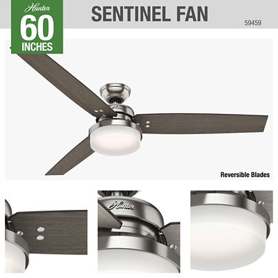 Hunter Sentinel Ceiling Fan With Led, Hunter Avia 54 Led Indoor Ceiling Fan