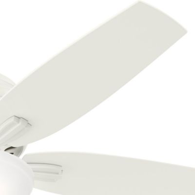Image showing  52 in. 3-Speed Newsome Indoor Low-Profile Ceiling Fan with LED Light Kit with Pull Chain, Bronze