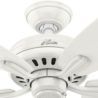Image showing  52 in. 3-Speed Indoor Newsome Ceiling Fan and Pull Chain, Fresh White