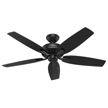 Hunter 52 in. Newsome Damp-Rated Ceiling Fan and Pull Chain