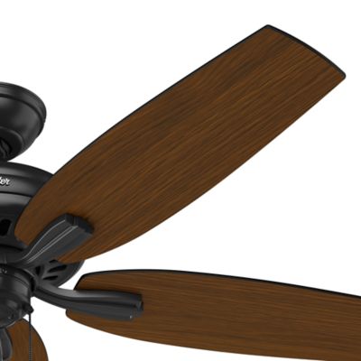 Image showing  52 in. 3-Speed Indoor/Outdoor Newsome Damp-Rated Ceiling Fan with Pull Chain