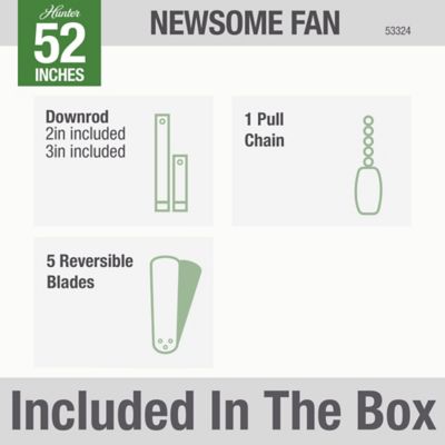 Image showing 8 th Hunter 52 in. 3-Speed Indoor/Outdoor Newsome Damp-Rated Ceiling Fan with Pull Chain