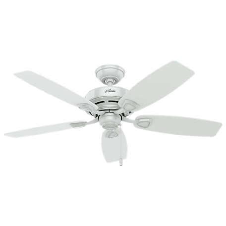 Hunter 48 in. Sea Wind Indoor/Outdoor Ceiling Fan and Pull Chain, Matte Black