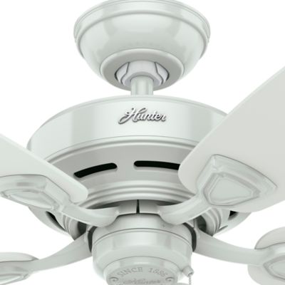 Image showing  48 in. 3-Speed Indoor/Outdoor Sea Wind Ceiling Fan and Pull Chain, Matte Black
