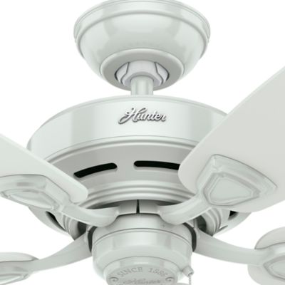 Image showing  48 in. 3-Speed Indoor/Outdoor Sea Wind Ceiling Fan and Pull Chain, Matte Black