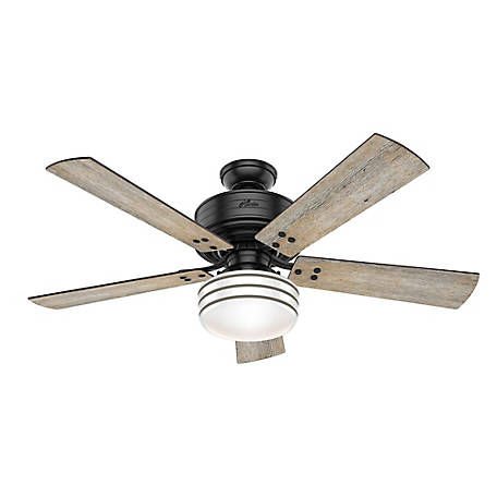 Hunter Cedar Key Damp Rated Ceiling Fan, Damp Rated Ceiling Fans