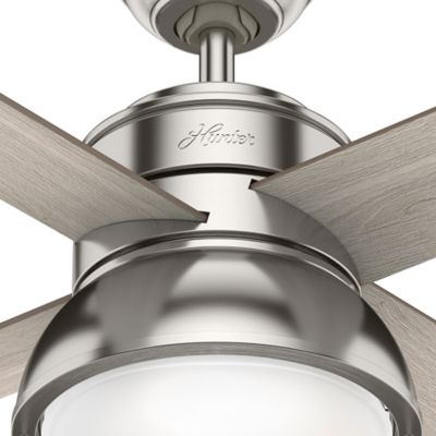 Image showing  36 in. 3-Speed Indoor Loki Ceiling Fan with LED Light Kit and Pull Chain, Copper