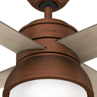 Image showing  36 in. 3-Speed Indoor Loki Ceiling Fan with LED Light Kit and Pull Chain, Copper