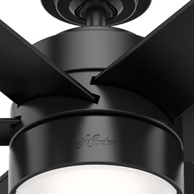 Image showing  72 in. 6-Speed Indoor/Outdoor Solaria Damp-Rated Ceiling Fan with LED Light Kit and Handheld Remote, Matte Black