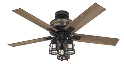 Hunter 52 in. Vista Ceiling Fan with LED Light Kit and Pull Chain