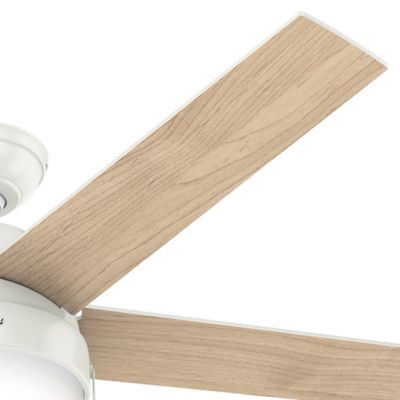 Image showing  52 in. 3-Speed Indoor Anslee Ceiling Fan with LED Light Kit and Pull Chain, Bronze