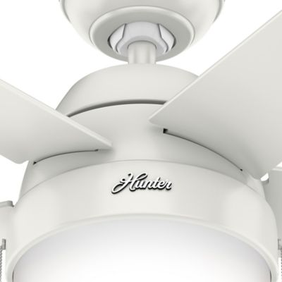 Image showing  52 in. 3-Speed Indoor Anslee Ceiling Fan with LED Light Kit and Pull Chain, Bronze