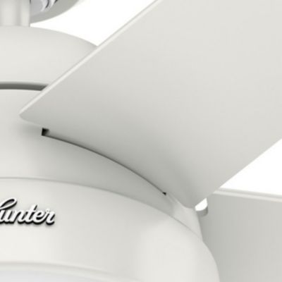 Image showing 5 th Hunter 52 in. 3-Speed Indoor Anslee Ceiling Fan with LED Light Kit and Pull Chain, Bronze