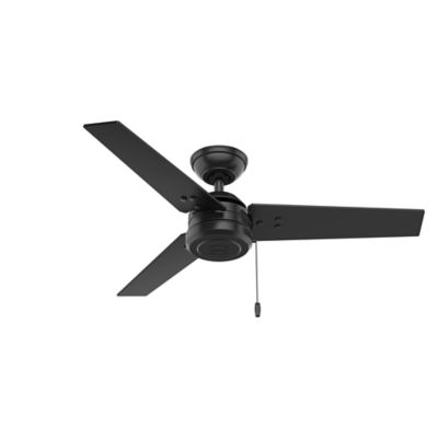 Hunter 44 in. Cassius Damp-Rated Ceiling Fan with Pull Chain