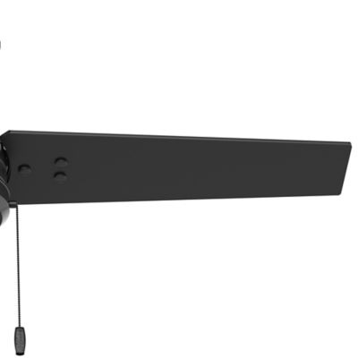 Image showing  44 in. 3-Speed Indoor/Outdoor Cassius Damp-Rated Ceiling Fan with Pull Chain