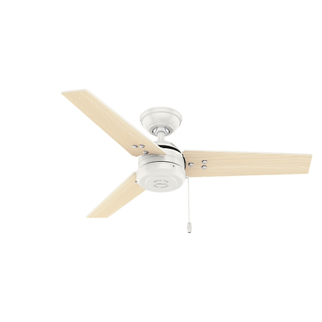 Hunter 44 in. Cassius Damp-Rated Ceiling Fan with Pull Chain