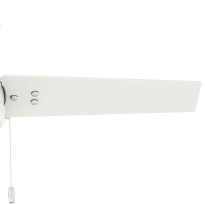 Image showing  44 in. 3-Speed Indoor/Outdoor Cassius Damp-Rated Ceiling Fan with Pull Chain
