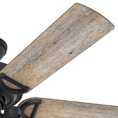 Image showing  52 in. 3-Speed Indoor/Outdoor Starklake Damp-Rated Ceiling Fan with LED Light Kit and Pull Chain