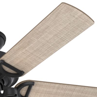 Image showing  52 in. 3-Speed Indoor/Outdoor Starklake Damp-Rated Ceiling Fan with LED Light Kit and Pull Chain