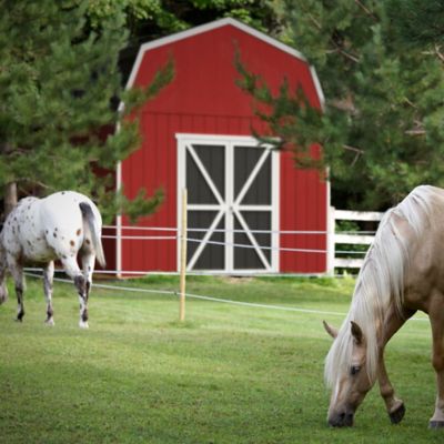Image showing  12 ft. x 16 ft. Barn Style Outdoor Wood Storage Shed