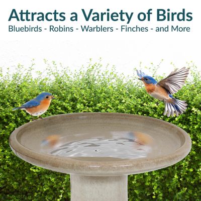 Image showing  21 in. Outdoor Bird Bath, Yam