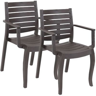 Sunnydaze Decor 2 pc. Illias Outdoor Patio Chair Set