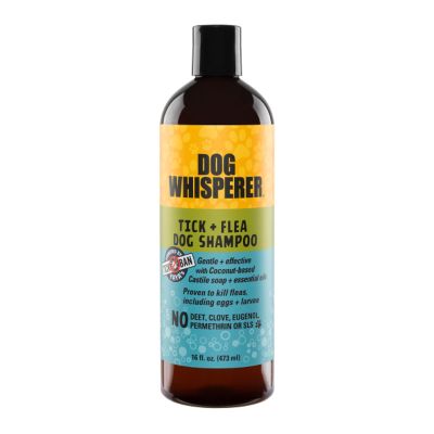Dog Whisperer Tick and Flea Dog Shampoo, 16 oz.
