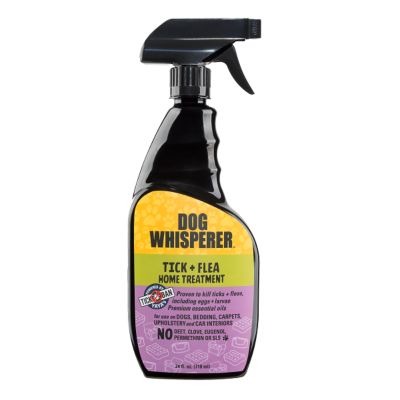 Dog Whisperer Tick and Flea Dog and Home Treatment Spray, 24 oz.