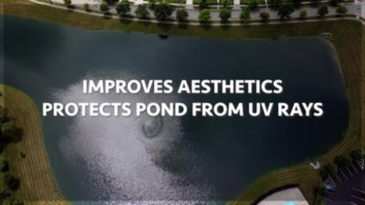 Image showing  Aquashadow Black Pond Colorant, 1 gal.