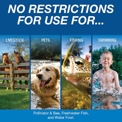 Image showing  Sonar RTU Aquatic Herbicide Pond Treatment, 1 qt.