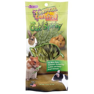 Brown's Tropical Carnival Natural Oat Spray Small Pet Treat, 1.5 oz.