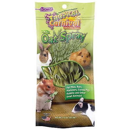Brown's Tropical Carnival Natural Oat Spray Small Pet Treat, 1.5 oz.