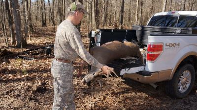 Image showing  300 lb. Swivelift Hitch Mounted Game Swivel Lift