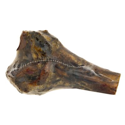 Image showing  Pork Knuckle Bone Dog Chew Treat