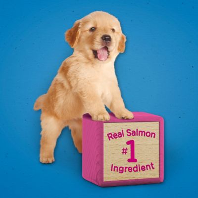 Image showing  Salmon Flavor Dog Training Treats, 24 oz.