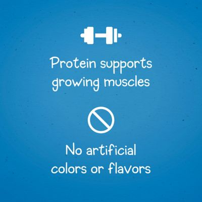 Image showing  Salmon Flavor Dog Training Treats, 24 oz.