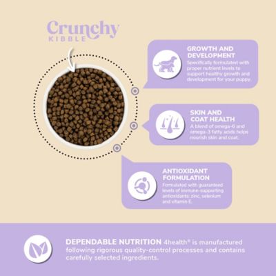 Image showing  Large Breed Puppy Chicken Formula Dry Dog Food